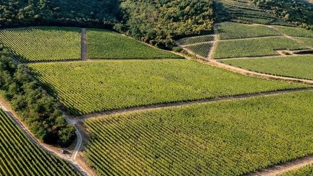 Tokaj Image 2 Tokaj Image 2